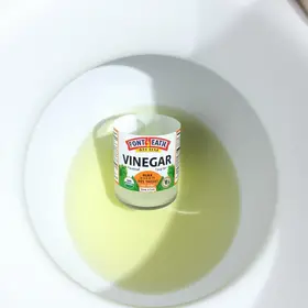Vinagre ao redor do vaso sanitário: O truque da internet funciona ou é mito?